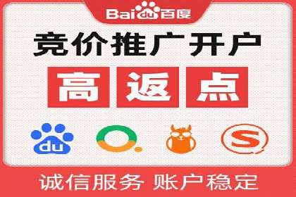 专业SEM服务托管方案案例分析